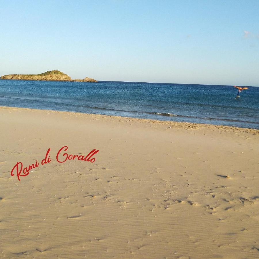 Rami Di Corallo Con Parcheggio Privato ---------- *